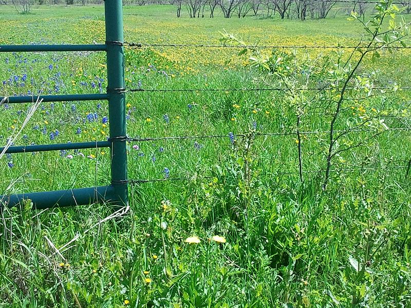 2013-04-14 11.32.28.jpg